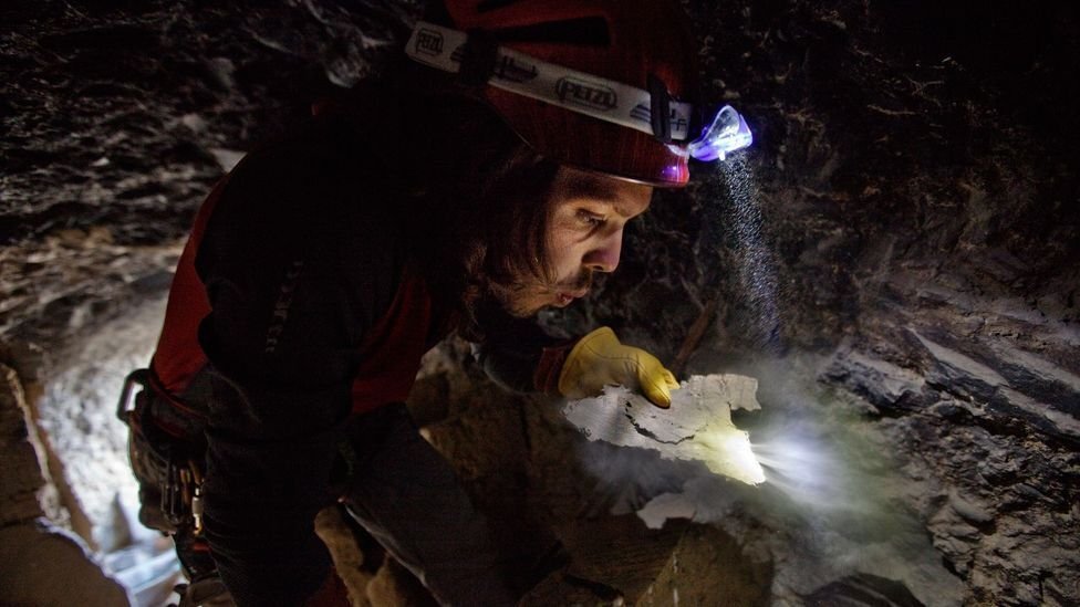 Мэтт Сегал обнаружил фрагмент манускрипта