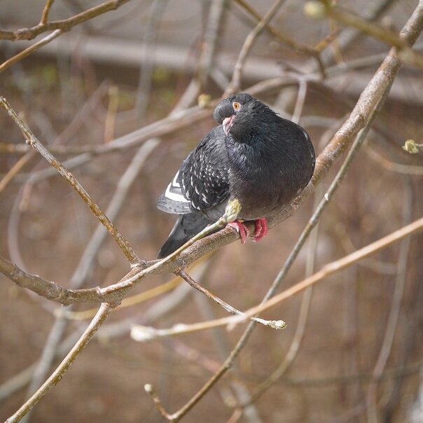 Фото из личного архива 