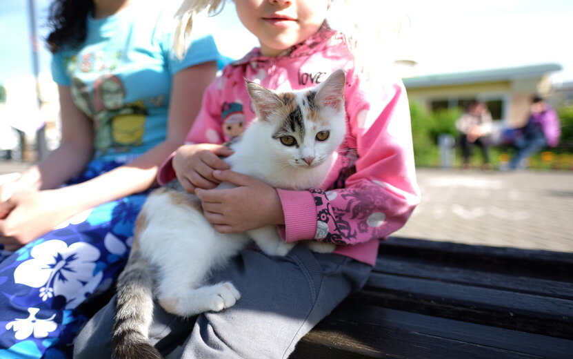  Питомцы помогают детям расти и становиться ответственнее. Фото: архив редакции