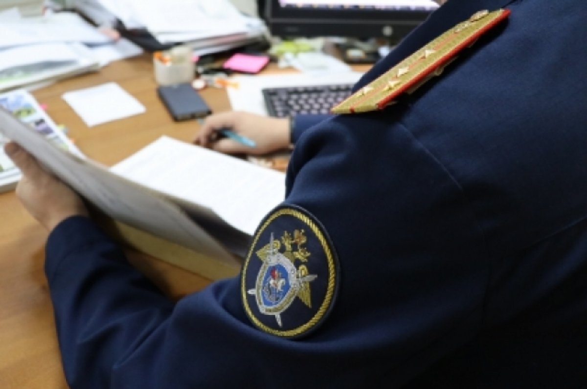    Уголовное дело возбуждено после нападения собаки на ребенка в детсаду