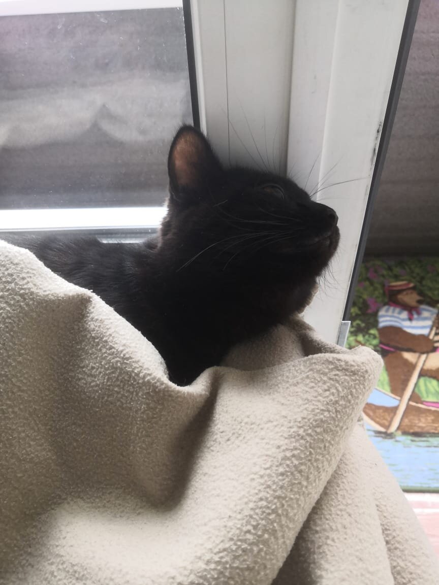 Фото автора статьи. 