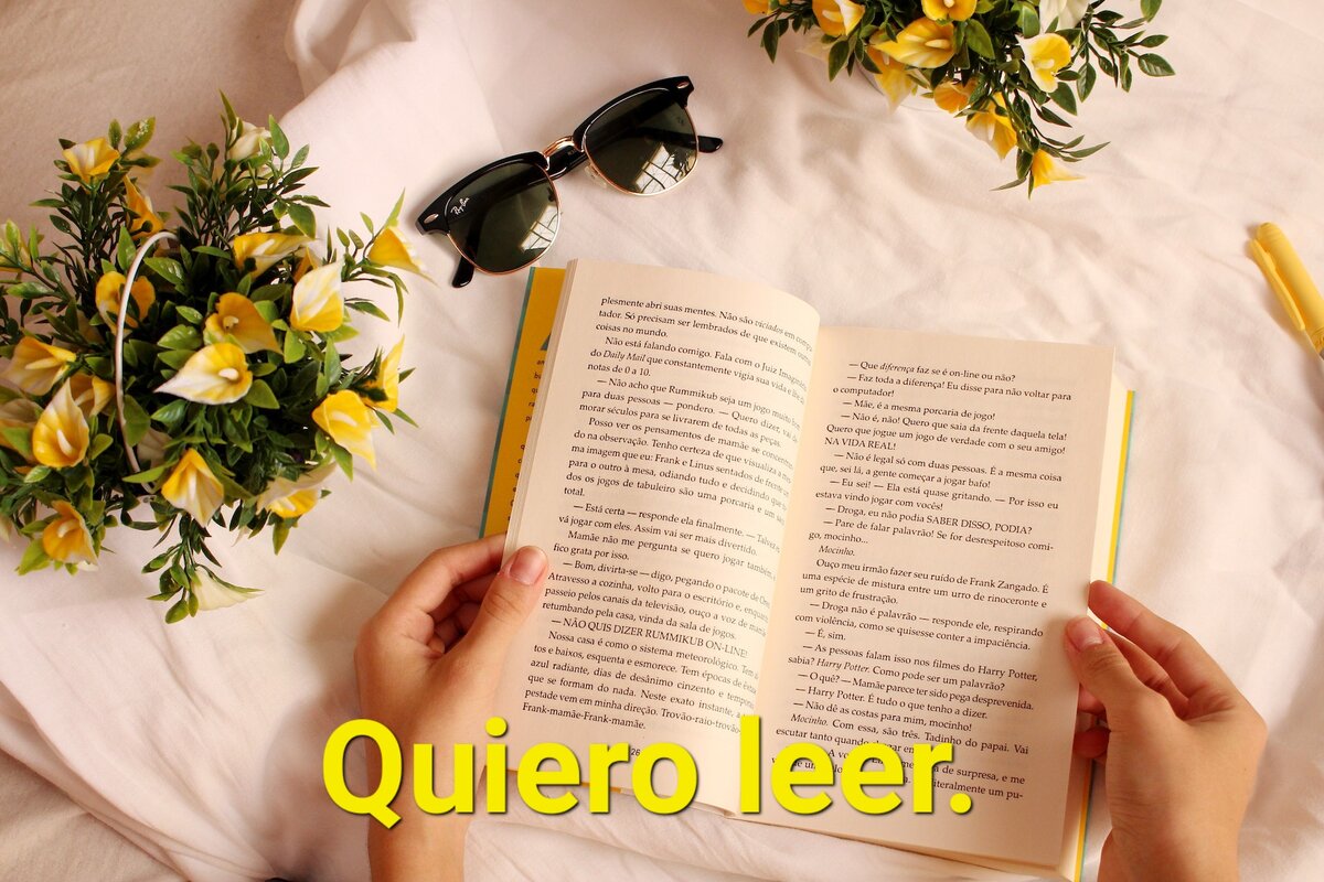 Изображение взято из открытых источников. 