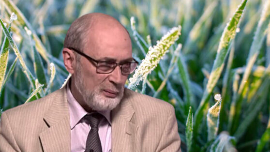    Штормовое предупреждение из-за заморозков объявили в 10 регионах РФ Анна Белая