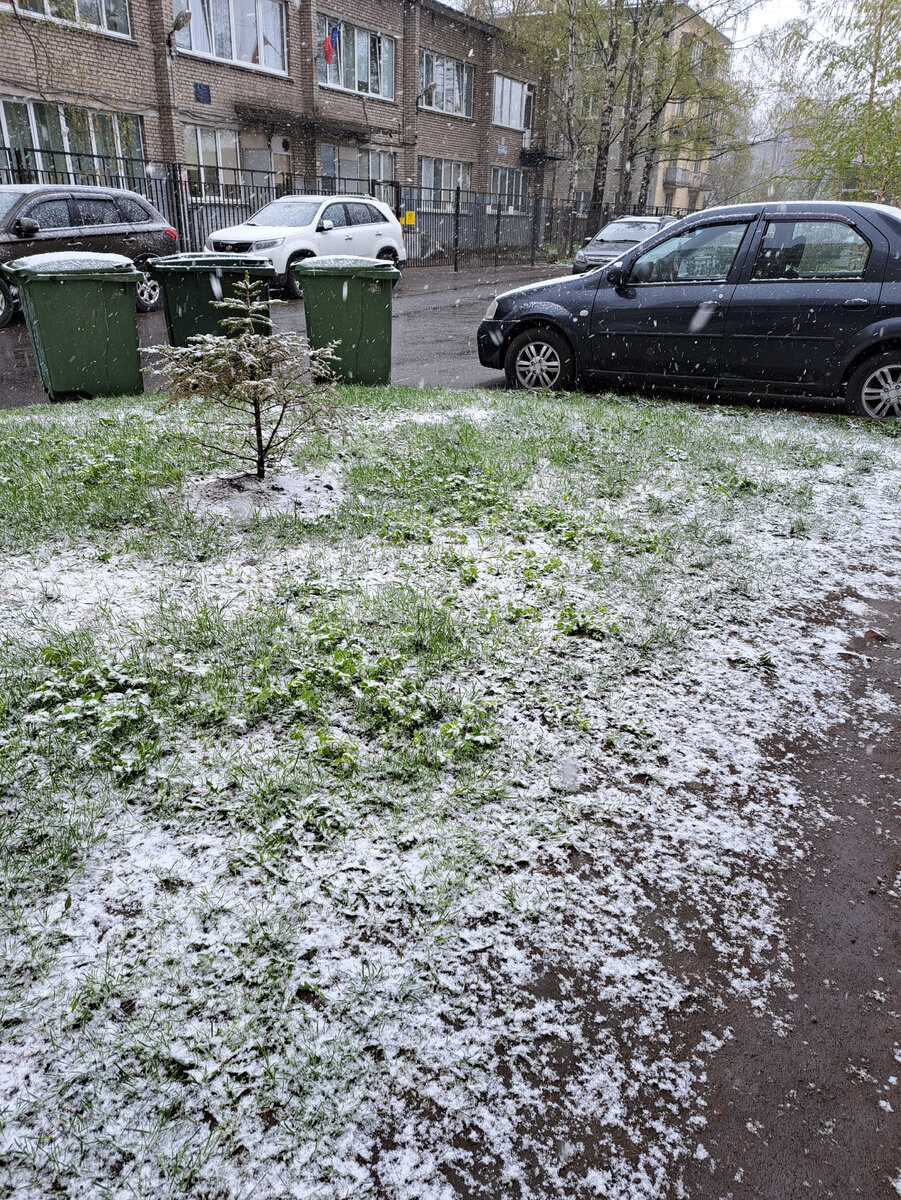 Такое утро 06.05.2023 в Питере.