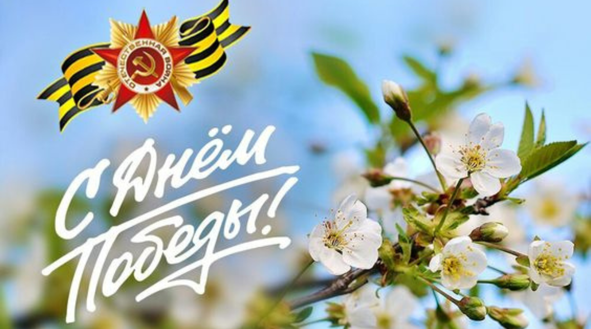 Фото сделано в программе Canva