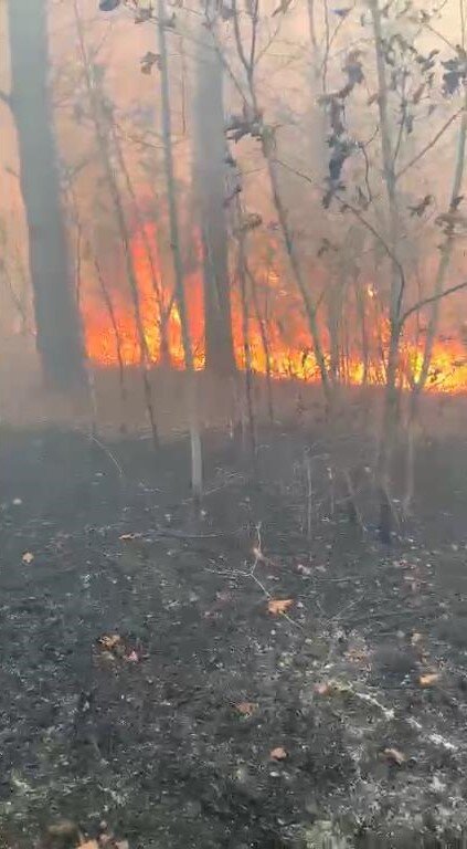   Фото: скриншот видео администрации Благовещенска