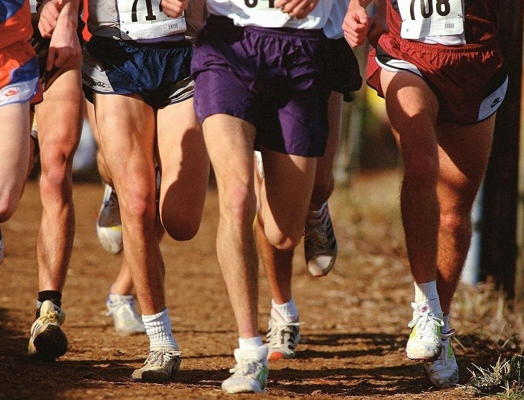      О спорт-ты жизнь