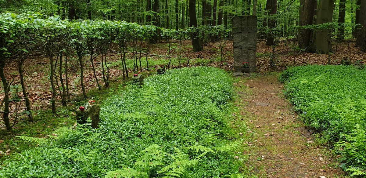Два таких прохода, 4 ряда могил и две большие братские могилы - там те, чьи фамилии сохранились