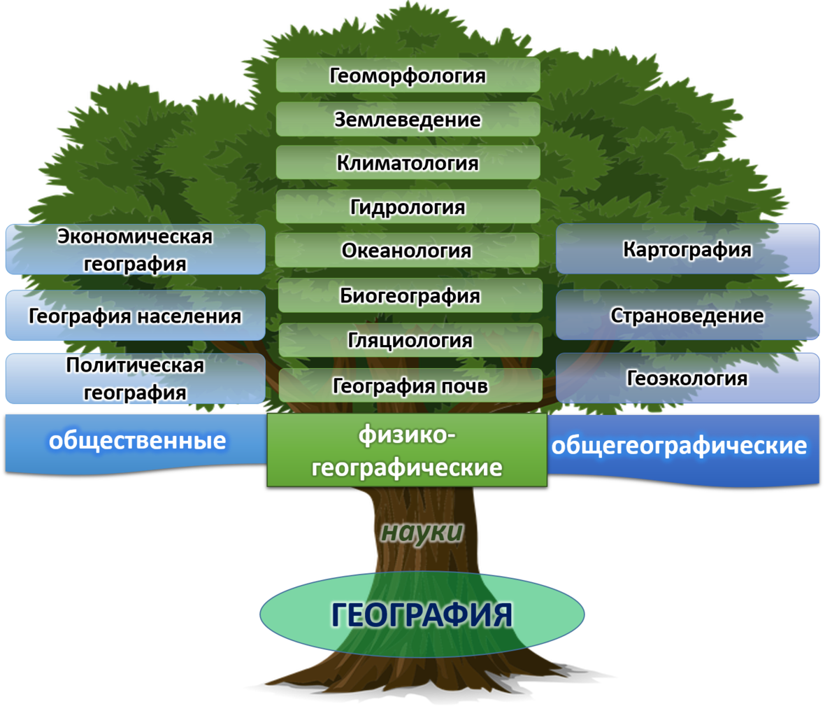 География составить. Дерево географических наук. Дерево наук по географии. Схема географических наук. Древо географических наук 5 класс.