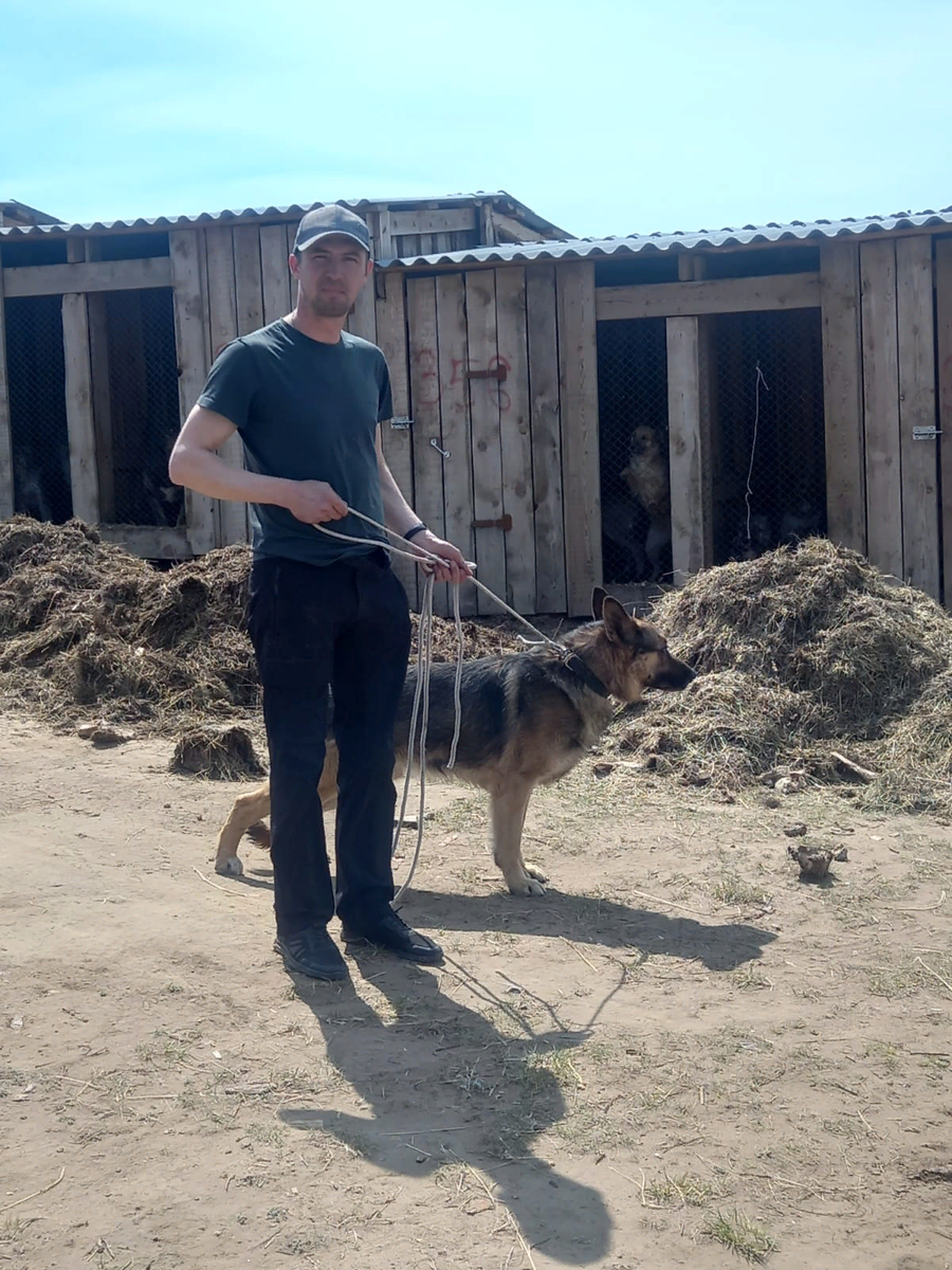 Клыку и его семье пожелаем счастья и здоровья! 💖