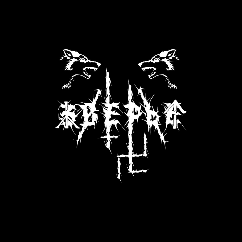 PG/NS Black metal band 