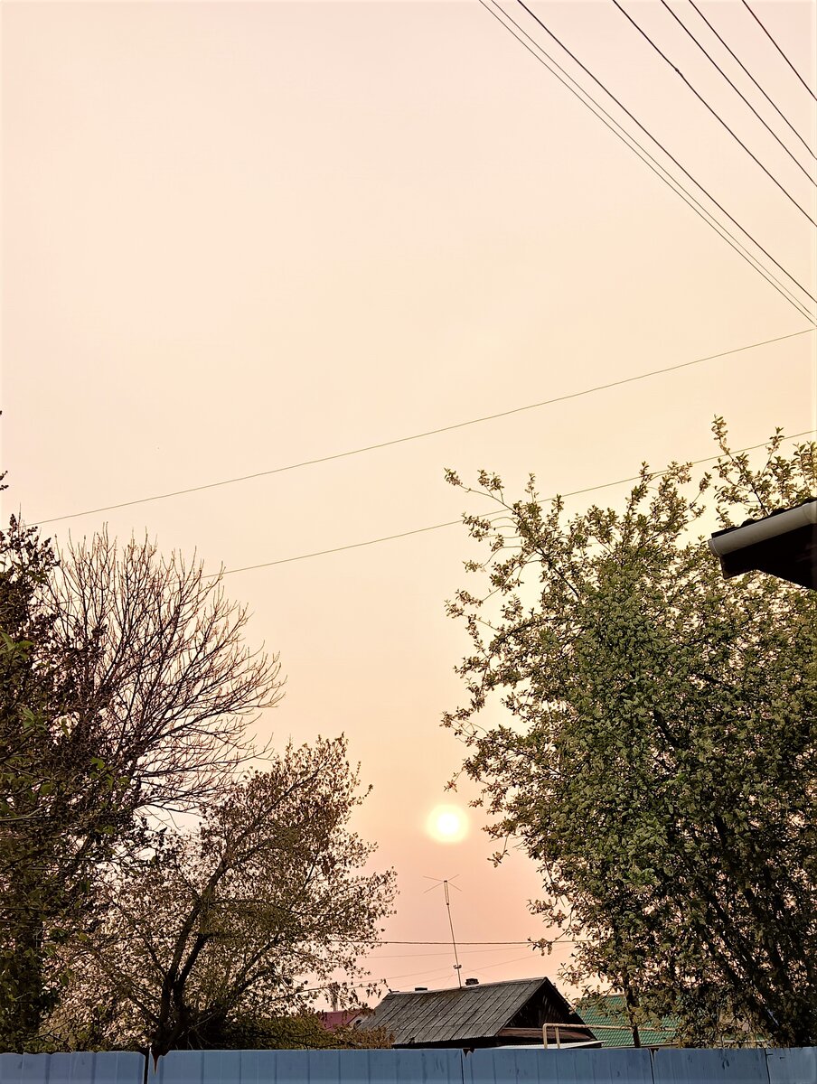 Дым, дым и дым! Это уже шестые сутки!