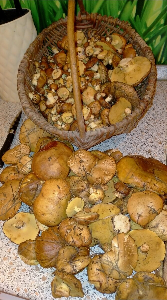 Фото Алы Смирениной 06.05.