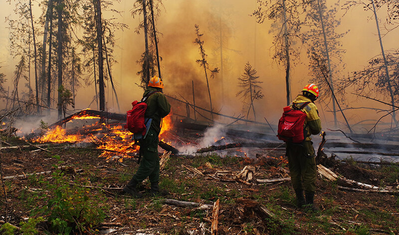    © Пресс-служба Федеральной Авиалесоохраны/РИА Новости