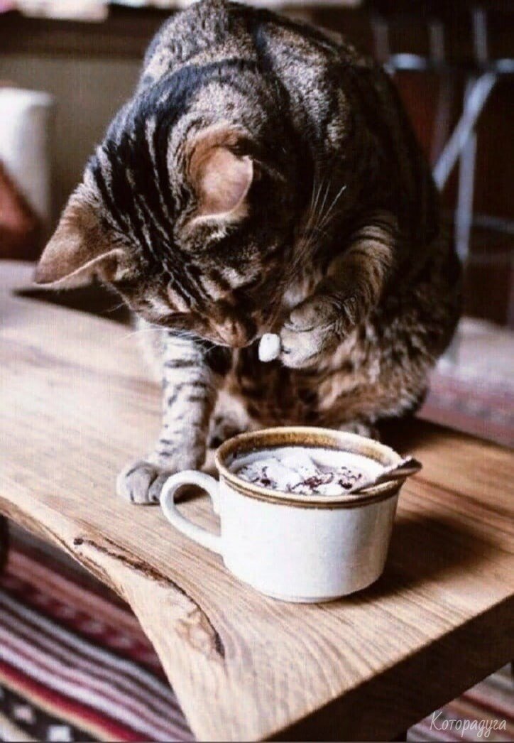 Источник: pinterest.com