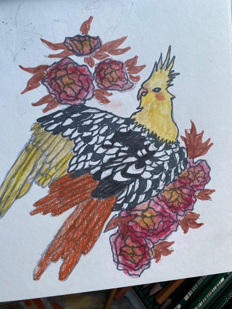 Мой рисунок