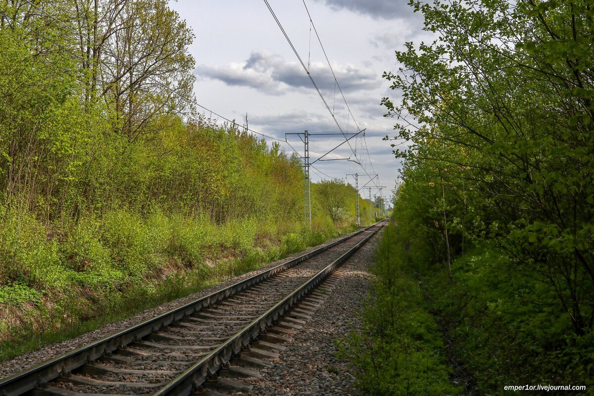 Железная жизнь