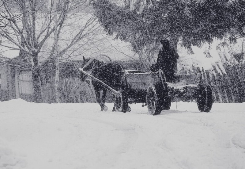 Иллюстрация "Извозчик"
