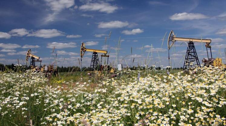    t.me/rosneftofficial