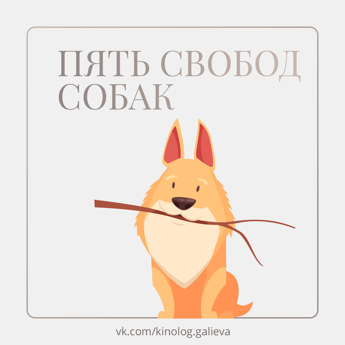 Кинолог архангельск. Кинолог омон. Кинолог архангельск. Кинологическая служба фсин. Кинолог архангельск.