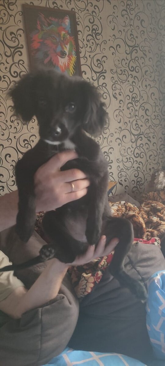 Кирюша.. Фото сделано 16.05.23. Подрастает наша девчушка. 