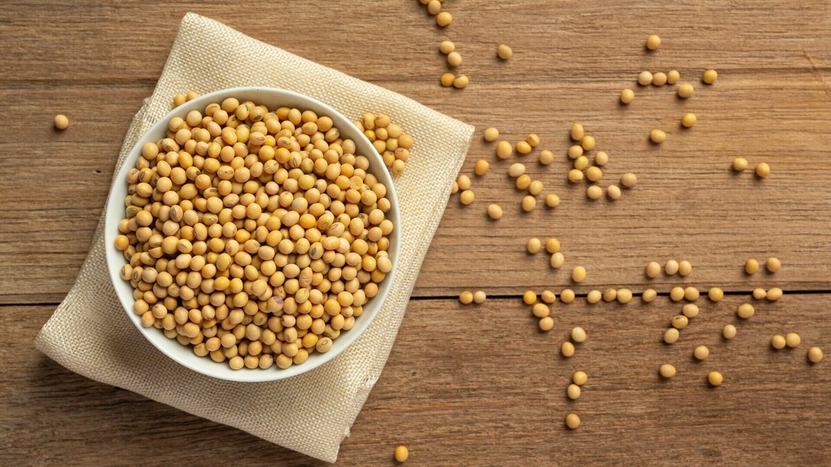     Образцы сои от партии общим объемом 2 850 тонн поступили в ФГБУ «Хабаровский референтный центр Россельхознадзора» для лабораторной проверки на сертификацию и декларирование. Такое исследование является обязательным перед реализацией зерна, как на территории России, так и перед отправкой на экспорт.