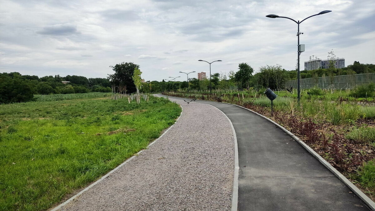     Городские парки Ростова не удалось передать в концессию инвесторам, сообщили в администрации.