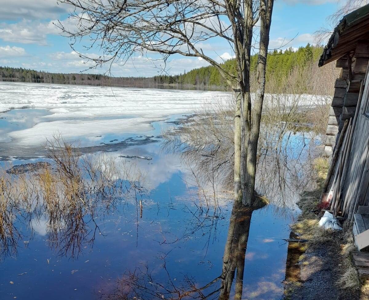 Глава города горняков Карелии попросил избегать поездок на дачи из-за  паводка | Столица на Онего - новости Петрозаводска и Карелии | Дзен