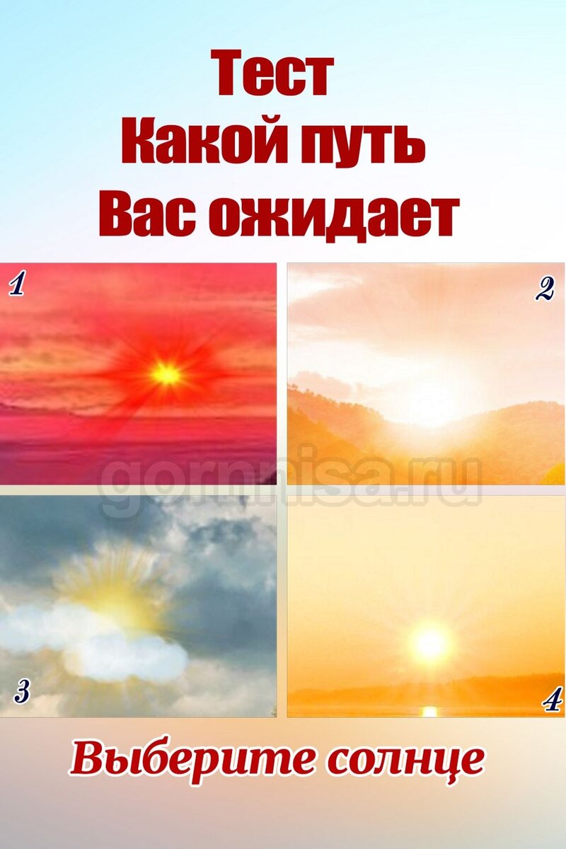    Тест — Какой путь вас ожидает Pavlov A