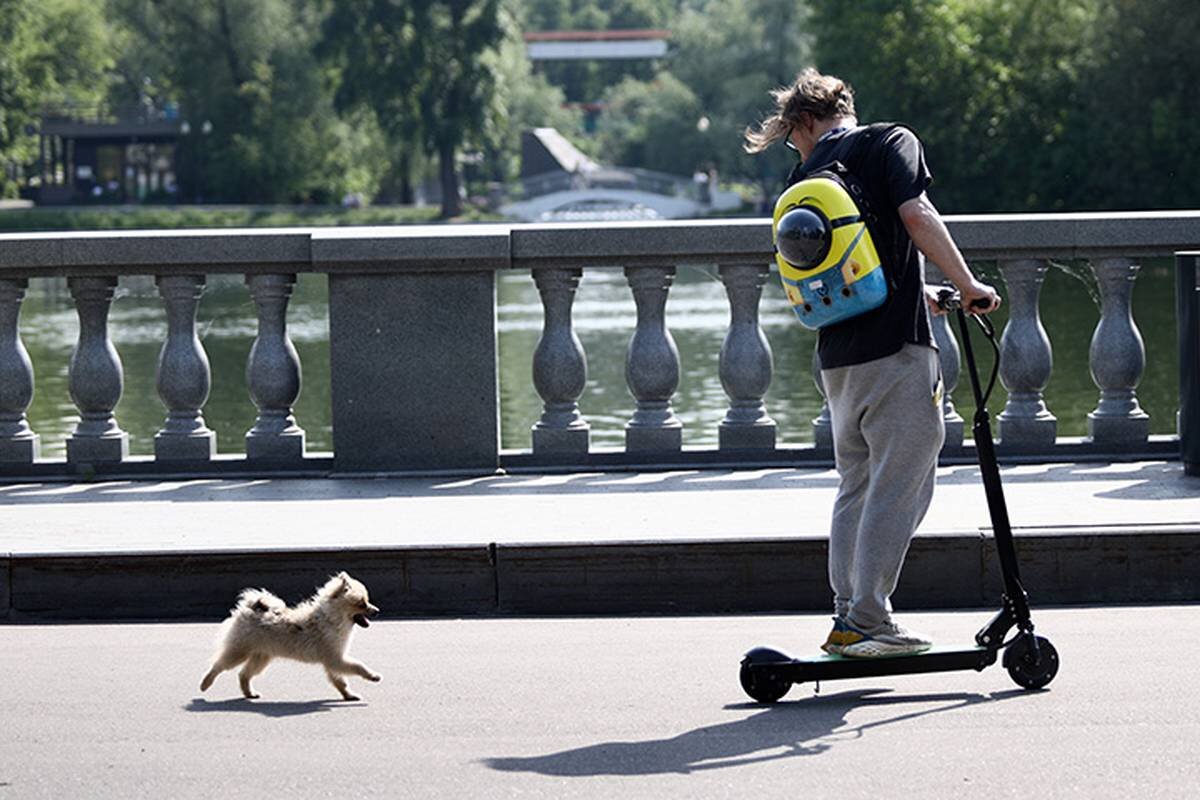    Фото: Кирилл Зыков / АГН Москва