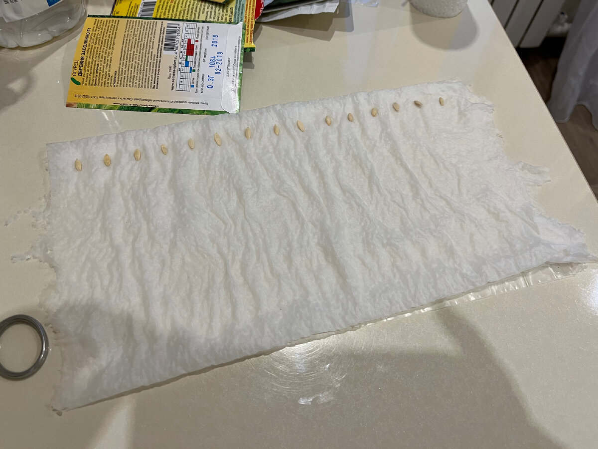 Здесь огурчики трёх видов.