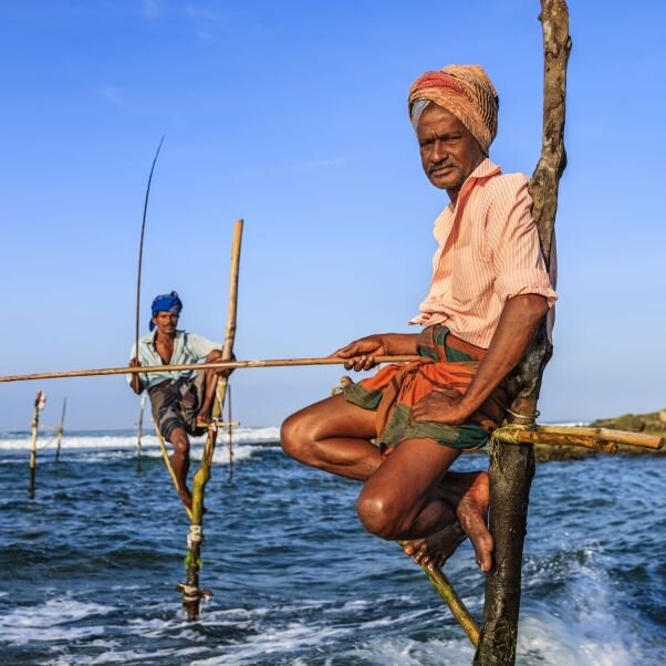 Фото взято из открытых источников