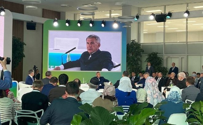 Фото: realnoevremya.ru/Дарья Пинегина 