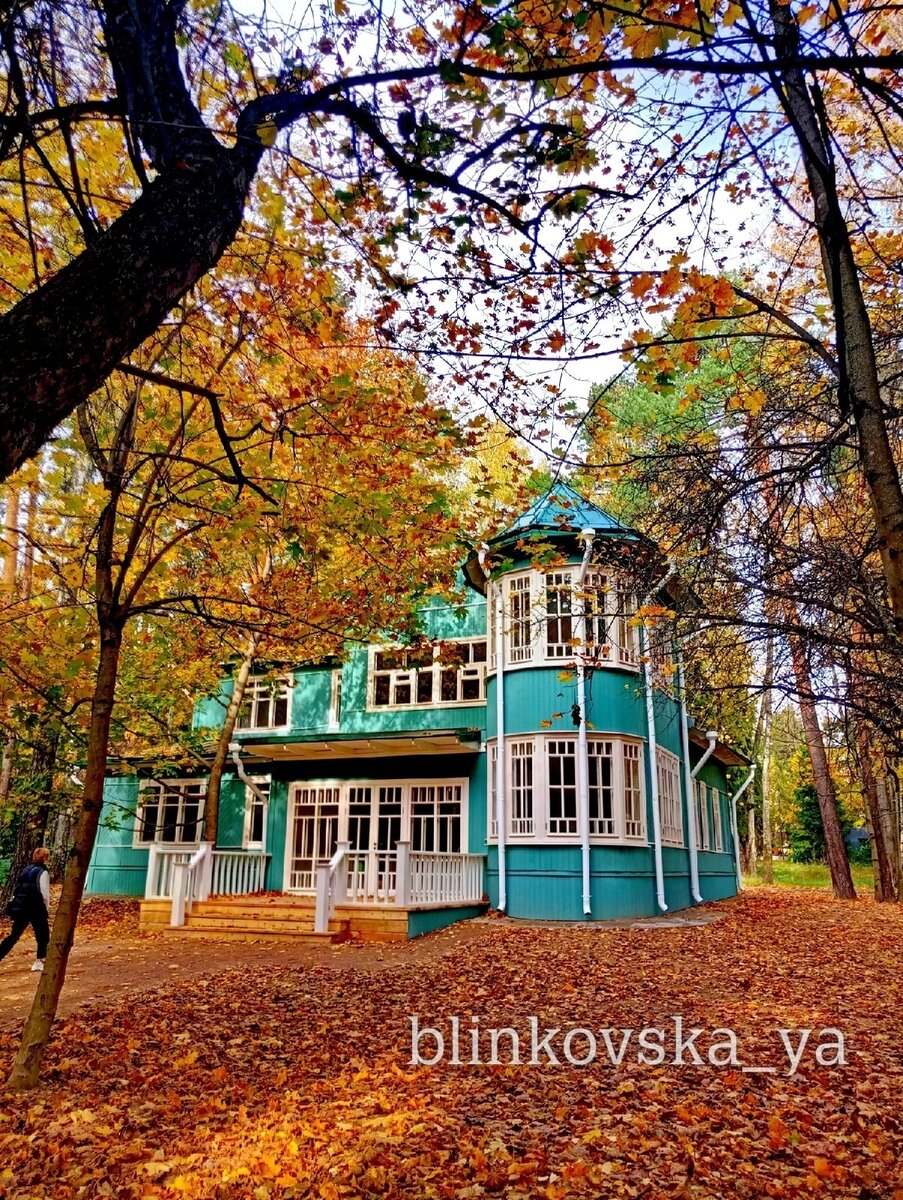 Дачи в поселке писателей Переделкино. Фото автора, 2022 год.