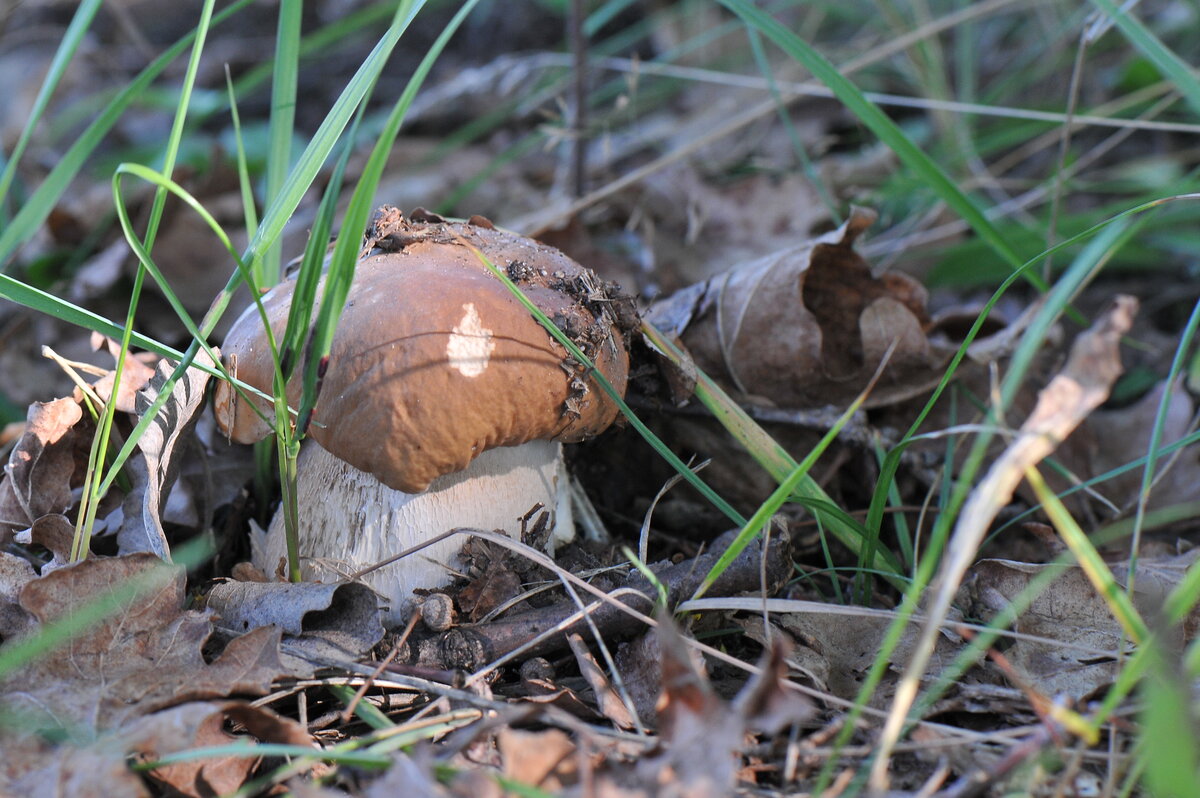 Автор фото Василий И.