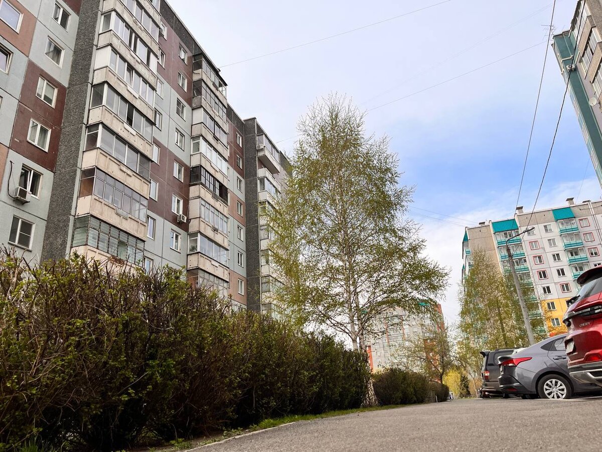 Странный ракурс фото, зато охвачен весь сюжет