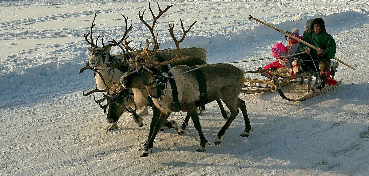 текст песни увезу тебя я в тундру. увезу тебя я в тундру ноты для фортепиано. увезу тебя в тундру текст. песня увезу тебя в тундру. кола бельды рассказывает анекдоты.