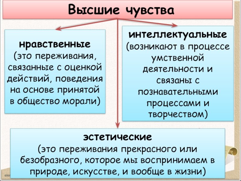 Что такое нравственные чувства. Что такое нравственные чувства. Что такое нравственные чувства. Интеллектуальная и эстетическая взыскательность. Нравственные и моральные чувства.