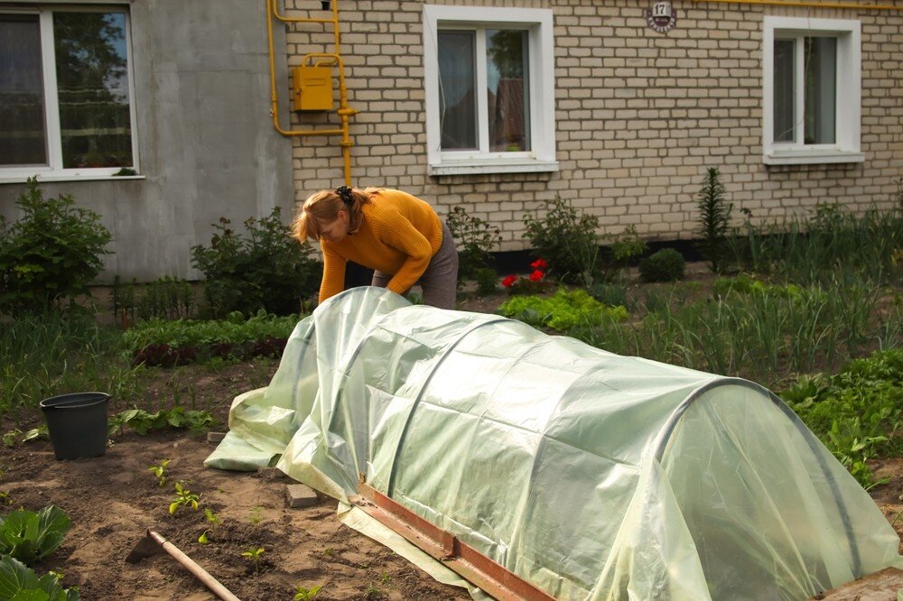 ShutterStock/Fotodom.ru