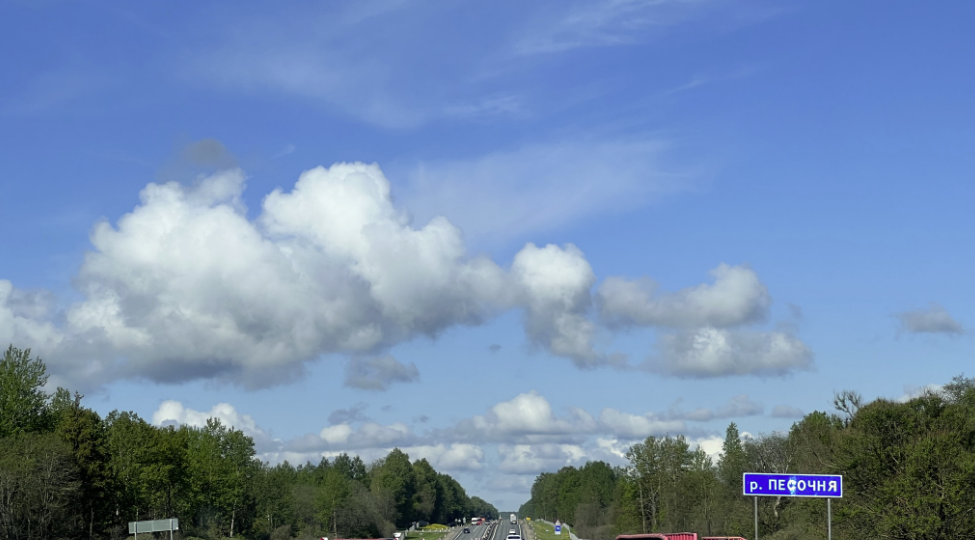 Без грибов, но в лес попала. 22.05. 2023