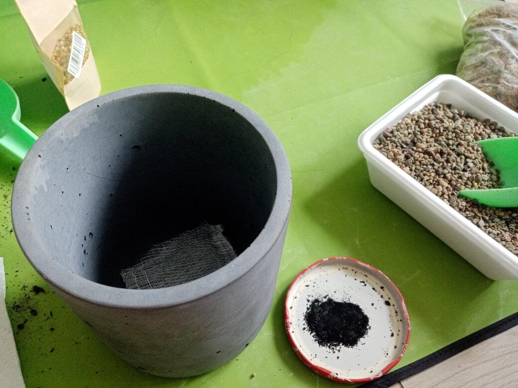 Подготовка к совместной посадке: смешала грунт с удобрением, подготовила уголь для корней, на дно горшка уложила кусочек бинта, чтобы грунт не высыпался. Фото автора