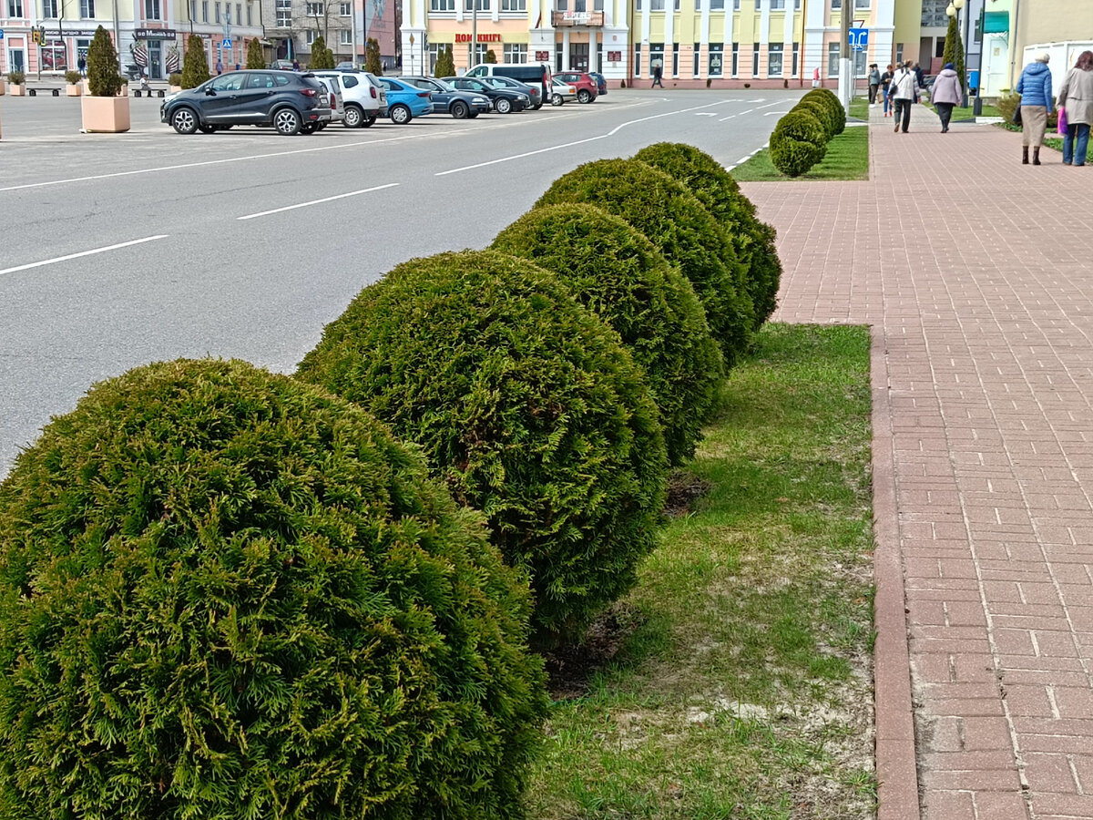 Приятно находиться в такой парковой зоне. 