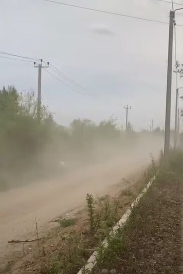    Фото: скриншот видео Амур.инфо