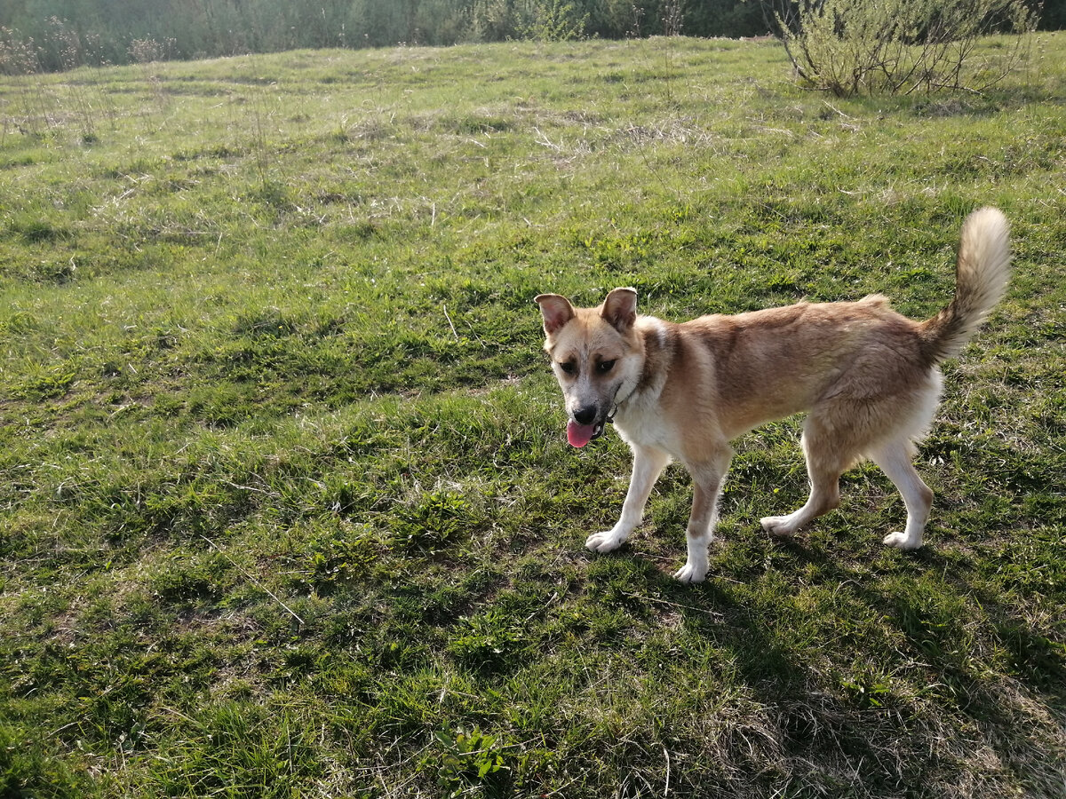 Как ей идет весна!