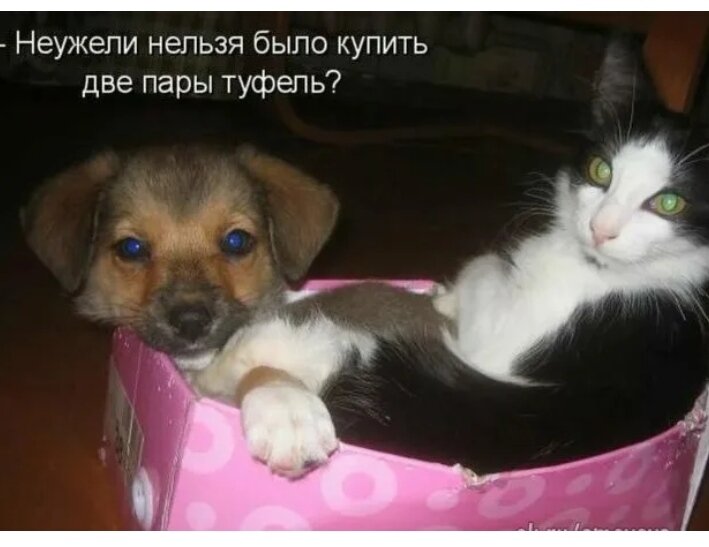 Скриншот автора