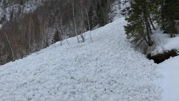    © Photo : Instagram (запрещен в РФ) / Департамент по чрезвычайным ситуациям Восточно-Казахстанской области