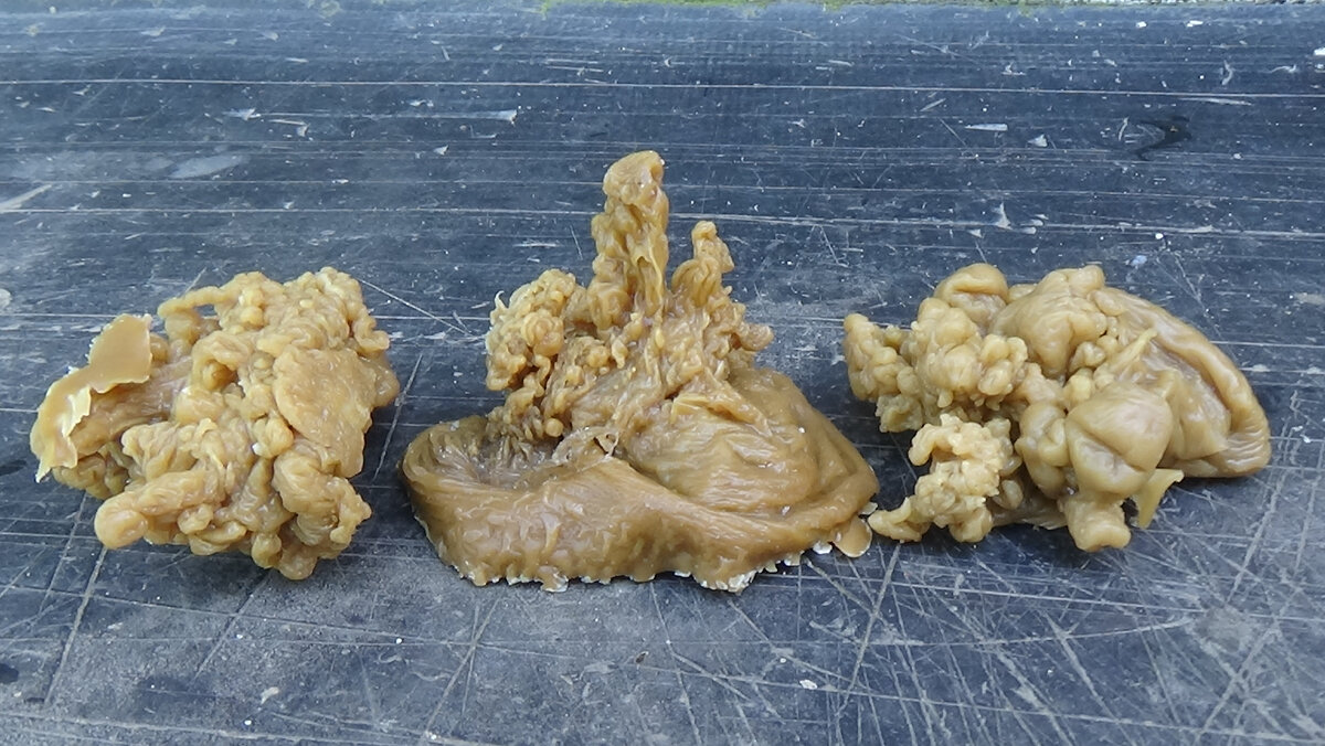 Восковые отливки для восстановления здоровья