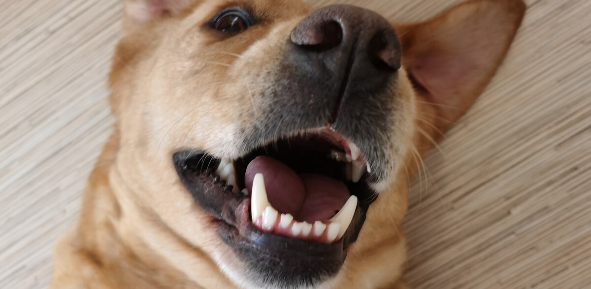 Фото из личного семейного архива