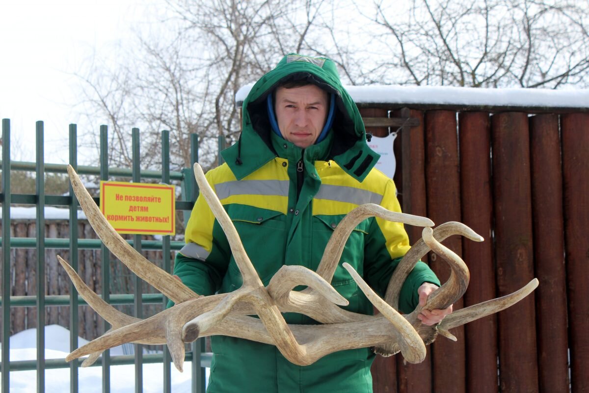    Зоопарк "Лимпопо" Анастасия Красушкина