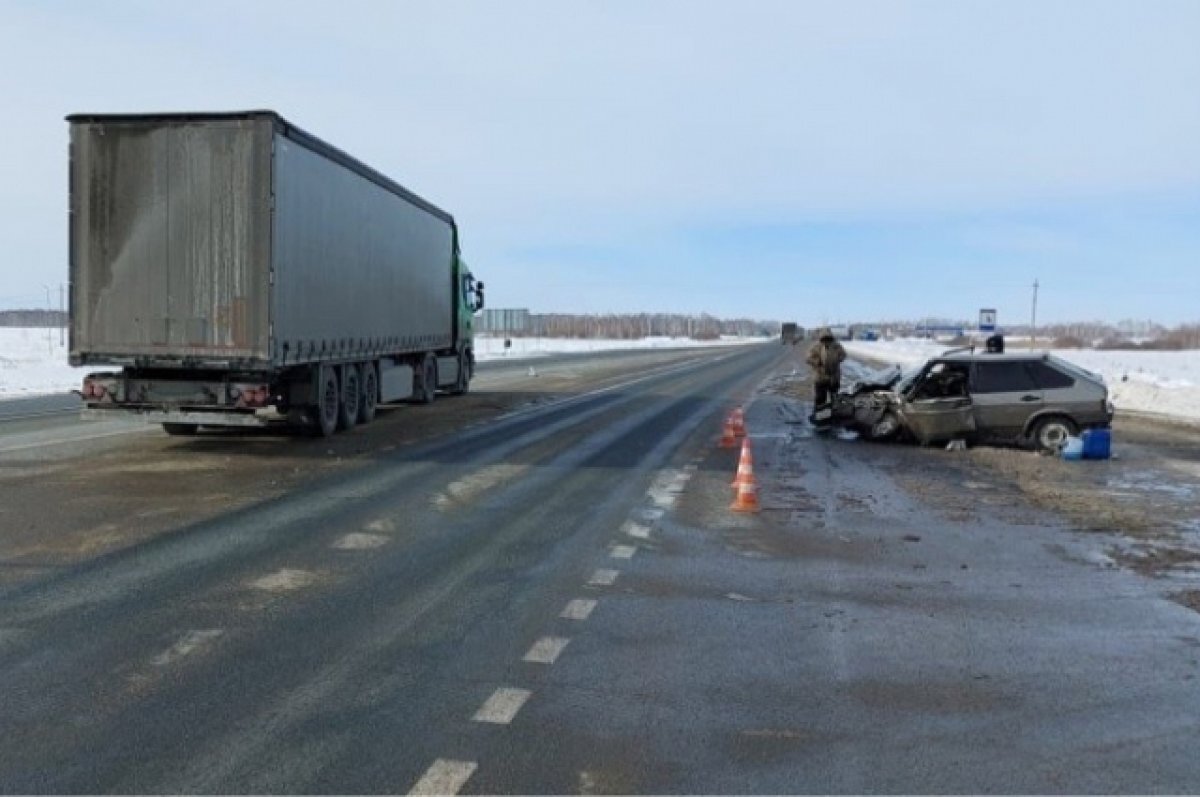    В Омской области пьяный водитель легковушки врезался в грузовик «Скания»